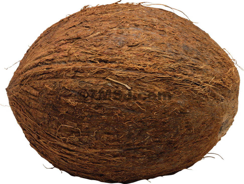 Coconut Ҭ ˮ PNG͸Ԫ (1)pngͼƬ,Coconut Ҭ ˮ PNG͸Ԫ (1)png͸Ԫ